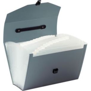 Valisette trieur en polypropylène, 24 compartiments, coloris assortis 117483-02 VIQUEL