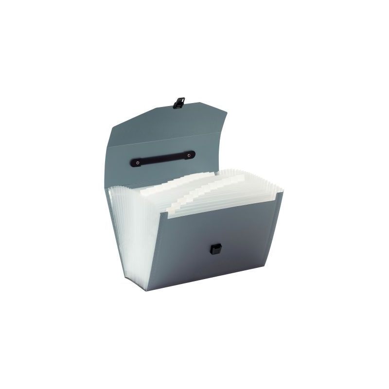 Achetez Valisette trieur en polypropylène, 24 compartiments, coloris assortis 117483-02 VIQUEL pas ..