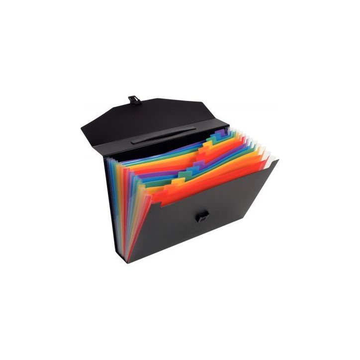 Valisette trieur Rainbow Class, 12 compartiments 117287-03 VIQUEL