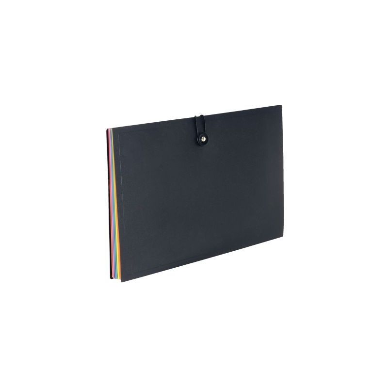 Achetez Trieur extensible Rainbow Class en polypropylène, 8 compartiments 110087-05 VIQUEL pas cher..