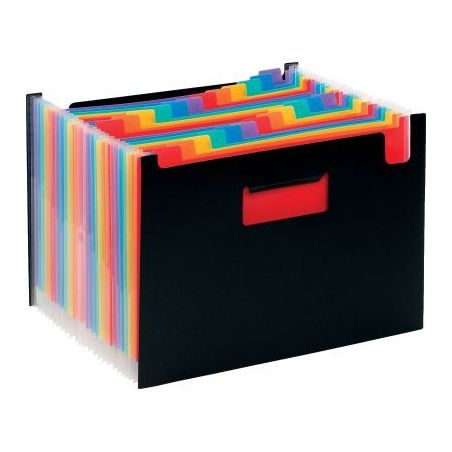 Achetez Trieur extensible en polypropylène RAINBOW CLASS, 24 compartiments 110987-03 RAINBOW CL VIQ..