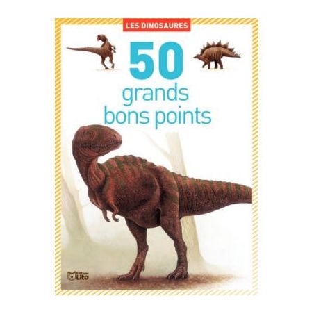 Achetez Boite de 50 grandes images Les dinosaures 01816 EDITIONS LITO pas cher sur Ma Rentrée Scola..