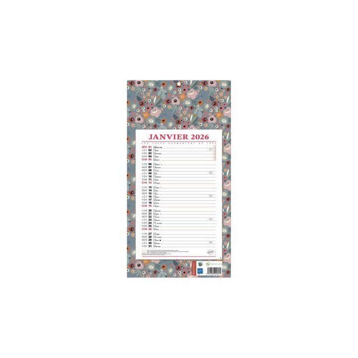 Calendrier mensuel 12 feuilles 36x19cm végétal PAP409V BOUCHUT GRANDREMY
