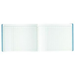 Achetez Piqûre 80 pages 13 colonnes sur 1 page format 32 x 25 cm à l'italienne 6130E EXACOMPTA pas..