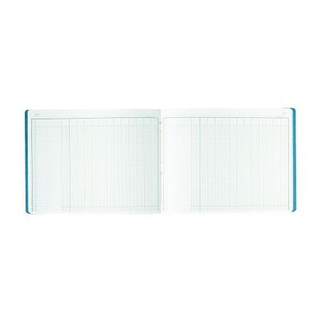 Achetez Piqûre 80 pages 13 colonnes sur 1 page format 32 x 25 cm à l'italienne 6130E EXACOMPTA pas..