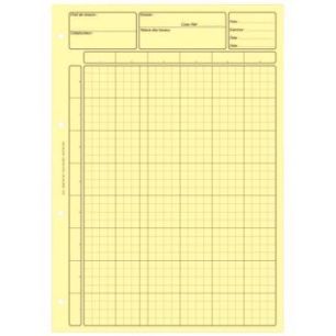 Achetez Bloc audit de 80 pages, matrice pour contrôle interne, coloris jaune 2671 LEBON & VERNAY pa..