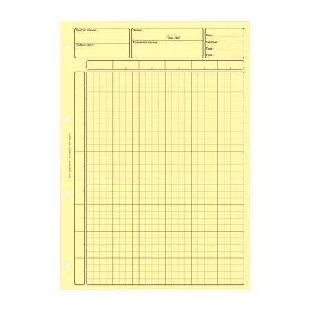 Achetez Bloc audit de 80 pages, matrice pour contrôle interne, coloris jaune 2671 LEBON & VERNAY pa..