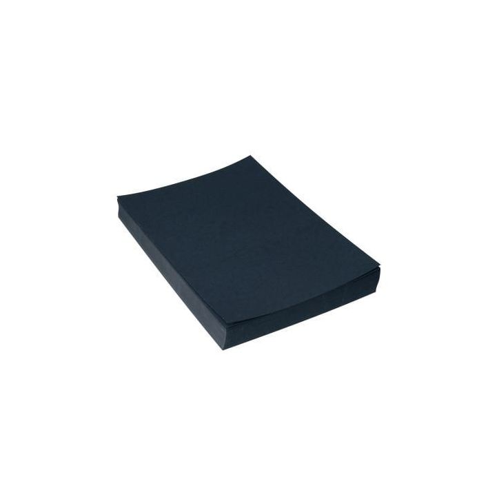 Boîte de 100 plats de couverture grain cuir A4 250gr Noir