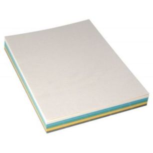 Achetez Paquet de 100 couvertures grain cuir 250g A4 coloris assortis 8055043 pas cher sur Ma Rentr ..