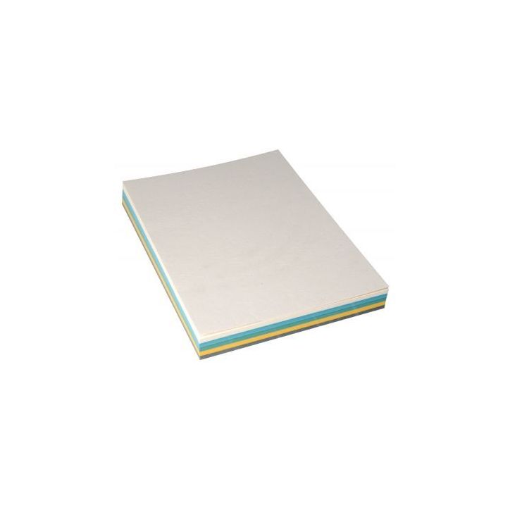 Paquet de 100 couvertures grain cuir 250g A4 coloris assortis 8055043