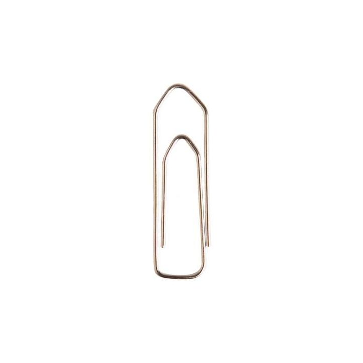 Boite de 100 trombones 45mm bout chevron nickelé 8042265 PAVO