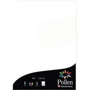 Achetez Paquet de 50 feuilles Pollen 210x297mm 120g blanc 4239C POLLEN CLAIREFONTAINE pas cher sur M..