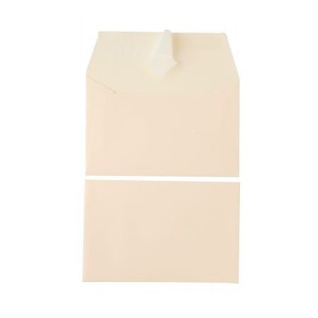 Achetez Paquet de 20 enveloppes Pollen 90x140mm 120g ivoire 5441C POLLEN CLAIREFONTAINE pas cher sur..