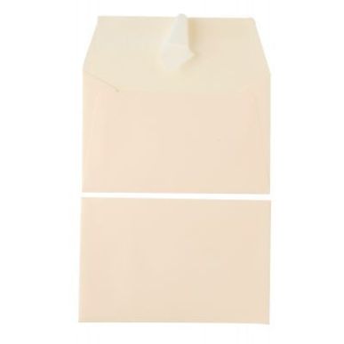 Achetez Paquet de 20 enveloppes Pollen 90x140mm 120g ivoire 5441C POLLEN CLAIREFONTAINE pas cher sur..