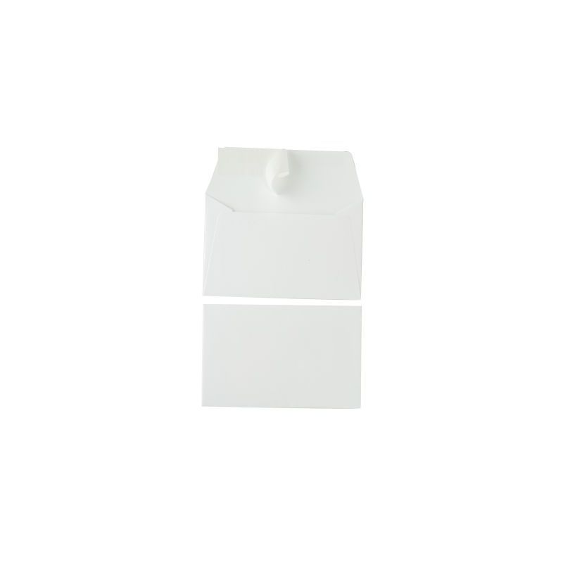 Achetez Paquet de 20 enveloppes Pollen 90x140mm 120g blanc 5431C POLLEN CLAIREFONTAINE pas cher sur ..