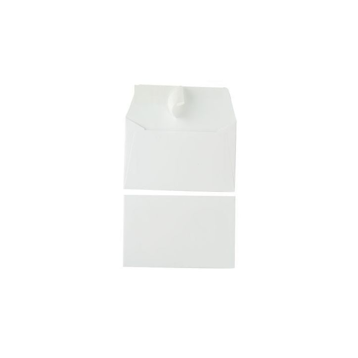 Paquet de 20 enveloppes Pollen 90x140mm 120g blanc 5431C POLLEN CLAIREFONTAINE