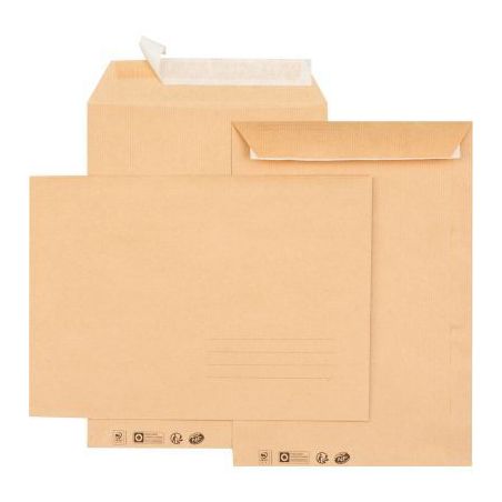 Achetez Paquet de 10 pochettes kraft 229x324mm 85g bande siliconée avec zone d'adresse 6633 GPV pas..