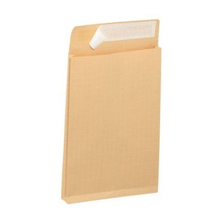 Achetez Paquet de 50 pochettes kraft armé brun 3 soufflets 280x365 130g/m² bande de protection 501..