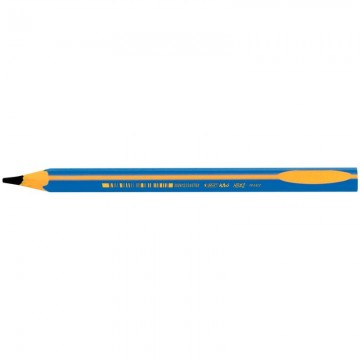 boîte de 12 crayons graphite d'apprentissage corps bleu 919262 BIC