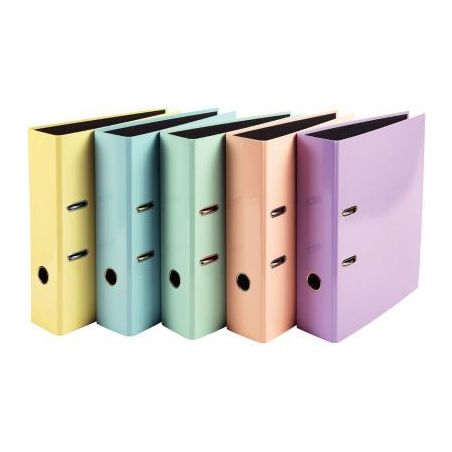 Achetez Carton de 10 classeurs à levier AQUAREL dos 8 cm, coloris assortis 53560E x10 EXACOMPTA p..