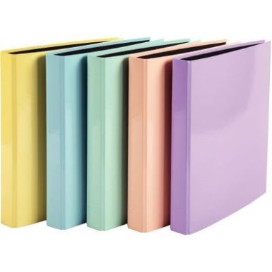 Achetez Carton de 10 classeurs 4 anneaux, dos 4 cm, en carte rigide pelliculée AQUAREL, coloris ass..