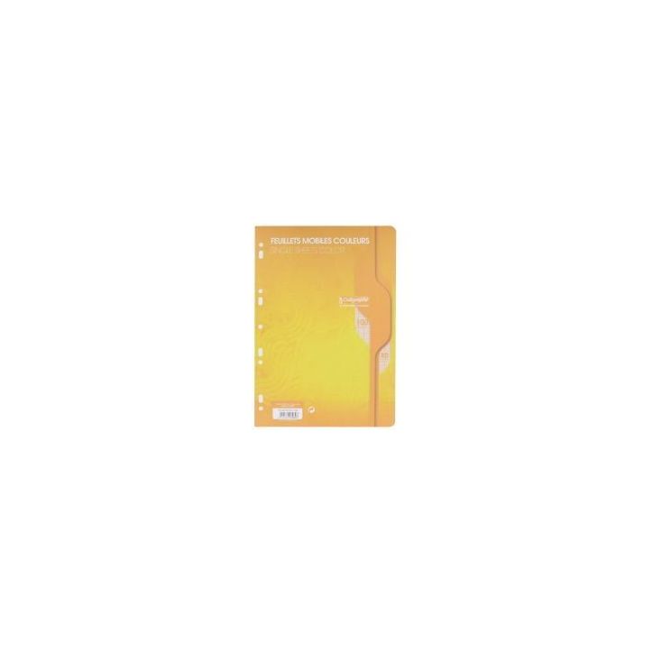 Sachet de 50 feuillets mobiles (100 pages) format 21x29,7cm séyès 80g coloris jaune 7964C