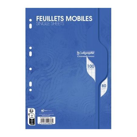 Achetez Sachet de 100 pages copies simples grand format A4 grands carreaux Séyès 70g perforées pa..
