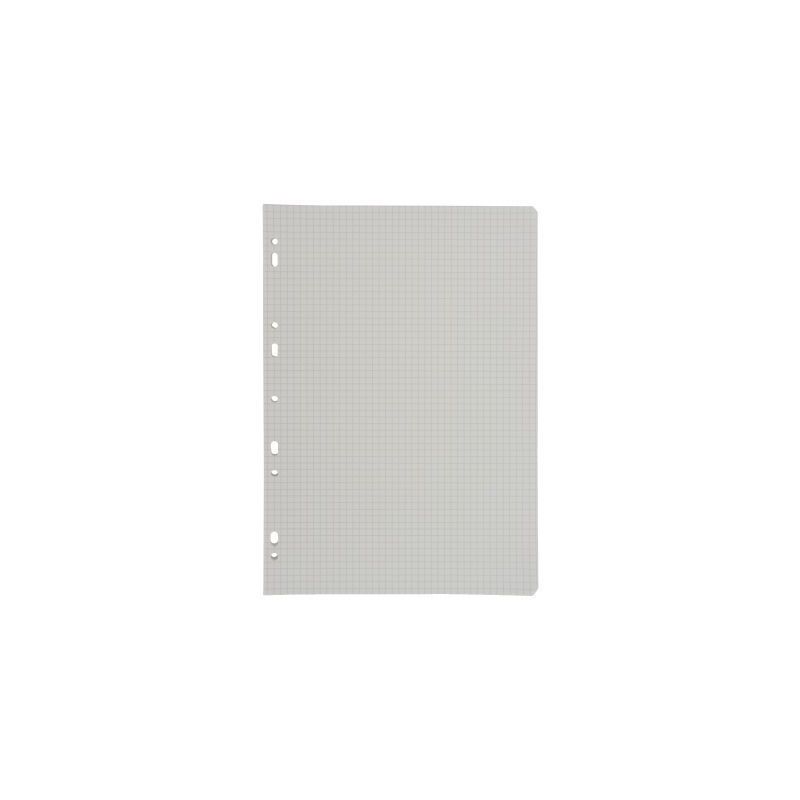 Achetez Sachet de 50 feuillets mobiles, format A4, quadrillé 5x5, papier blanc 90g 2397C pas cher s..