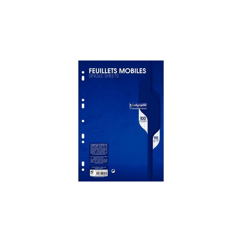Achetez Sachet de 50 feuillets mobiles (100 pages) format 21x29,7cm séyès 90g blanc 2396C pas cher.. Achetez Sachet de 50 feuillets mobiles (100 pages) format 21x29,7cm séyès 90g blanc 2396C pas cher..