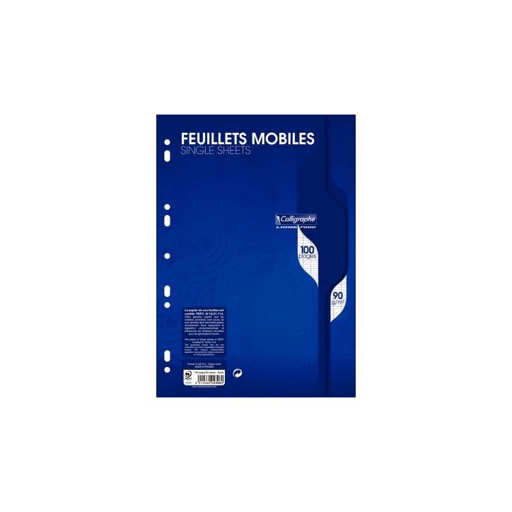 Sachet de 50 feuillets mobiles (100 pages) format 21x29,7cm séyès 90g blanc 2396C