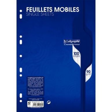 Achetez Sachet de 50 feuillets mobiles (100 pages) format 21x29,7cm séyès 90g blanc 2396C pas cher..