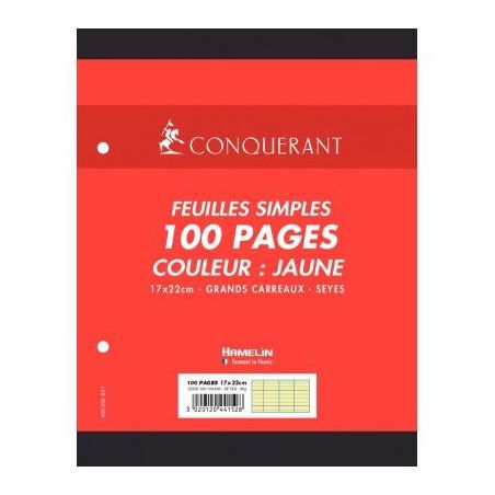 Achetez Sachet de 50 feuillets mobiles 17x22 cm seyès 80g, jaune 100104850 HAMELIN pas cher sur Ma ..