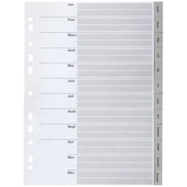 Achetez PERGAMY Jeu 12 intercalaires mensuels Janvier-Décembre polypropylène format A4. Coloris Bl..