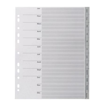 Achetez Jeu de 12 intercalaires mensuels en polypropylène gris format A4+ 100745247 NOKI pas cher s..
