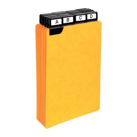 Achetez Jeu de 24 intercalaires pour boîtes à fiches 148 x 105 mm 13742E EXACOMPTA pas cher sur Ma..