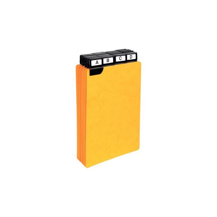 Jeu de 24 intercalaires pour boîtes à fiches 148 x 105 mm 13742E EXACOMPTA