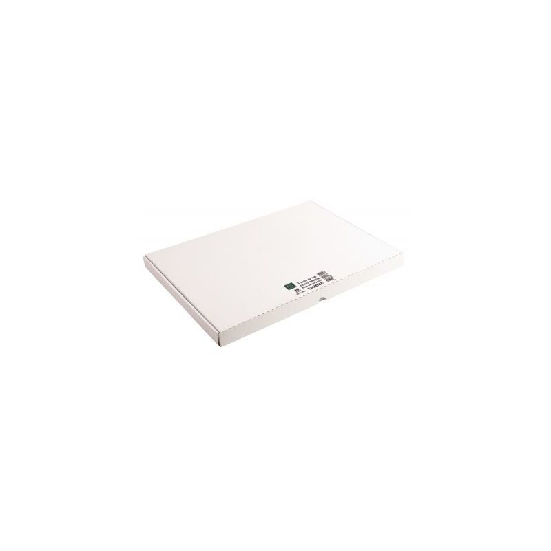 Achetez Boîte de 100 fiches bristol non perforées carte forte 205 g uni blanc 29,7 x 42 cm 13304E .. Achetez Boîte de 100 fiches bristol non perforées carte forte 205 g uni blanc 29,7 x 42 cm 13304E ..