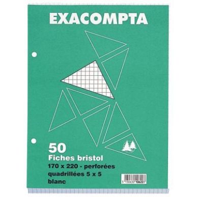 Achetez Paquet de 50 fiches bristol perforées carte forte 210 g blanc quadrillé 5x5 format 17 x 22..