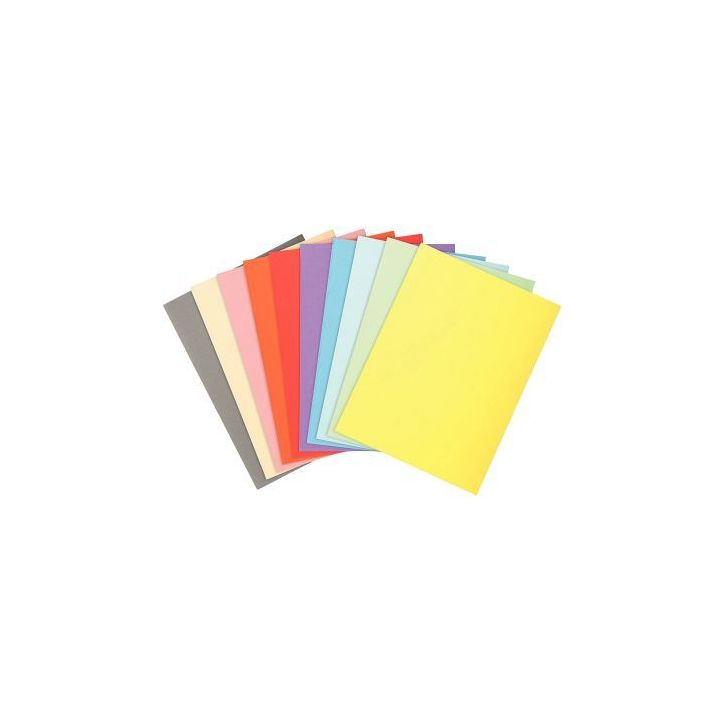 Paquet de 100 chemises 170g FOREVER, format 24x32 cm, coloris assortis 420000E FOREVER EXACOMPTA