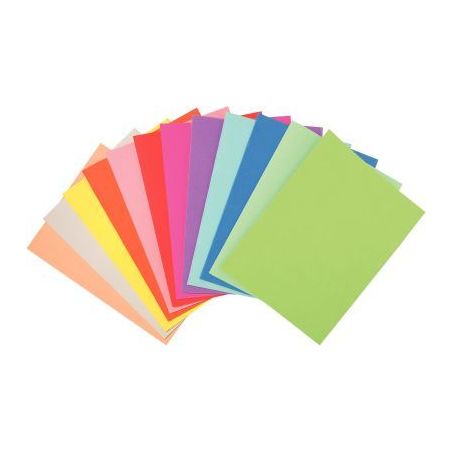 Achetez Paquet de 10 chemises 170g FOREVER, format 24x32 cm, coloris assortis 420100E FOREVER EXACOM..