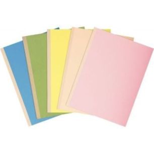 Achetez Paquet de 10 chemises rigides FOREVER dos toilé, coloris assortis 771000E EXACOMPTA pas che..