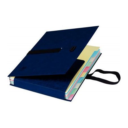 Achetez Chemise trieur extensible 10 compartiments, coloris bleu SANGLEX06 ARIANEX pas cher sur Ma R..