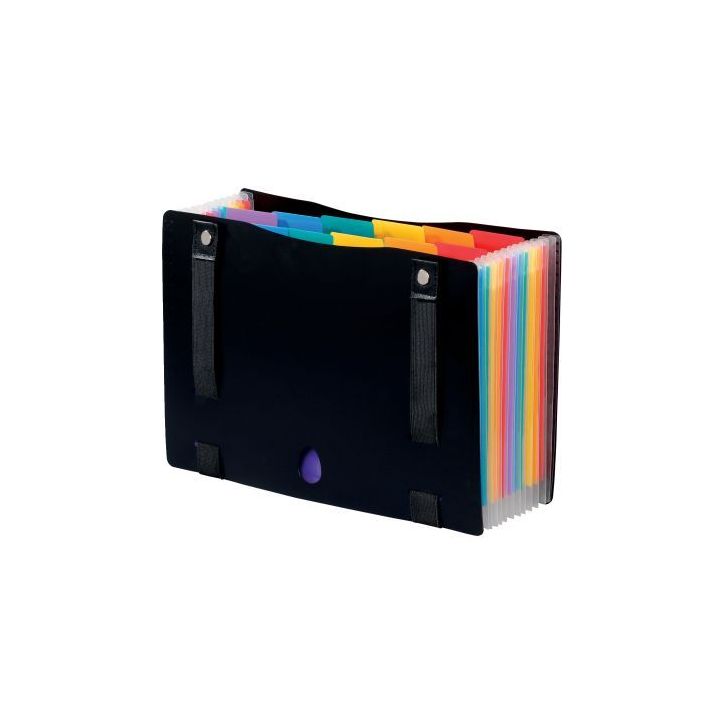 Trieur extensible RAINBOW CLASS en polypropylène avec sangles, 12 compartiments 998267-03 RAINBOW CL VIQUEL