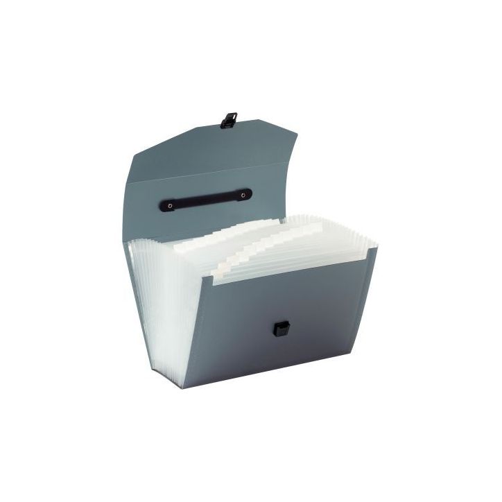 Valisette trieur en polypropylène, 24 compartiments, coloris assortis 117483-02 VIQUEL