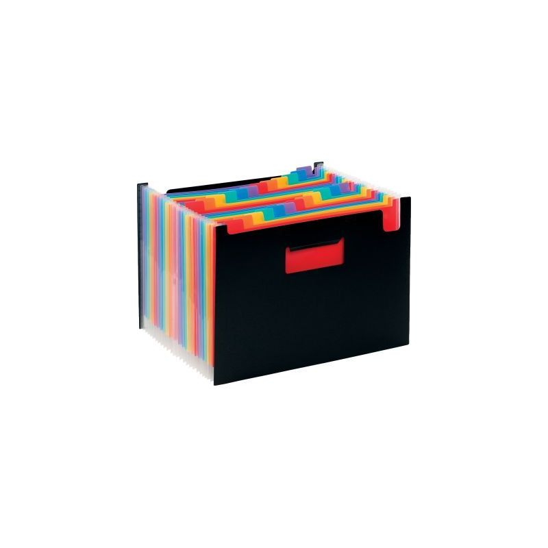 Achetez Trieur extensible en polypropylène RAINBOW CLASS, 24 compartiments 110987-03 RAINBOW CL VIQ..