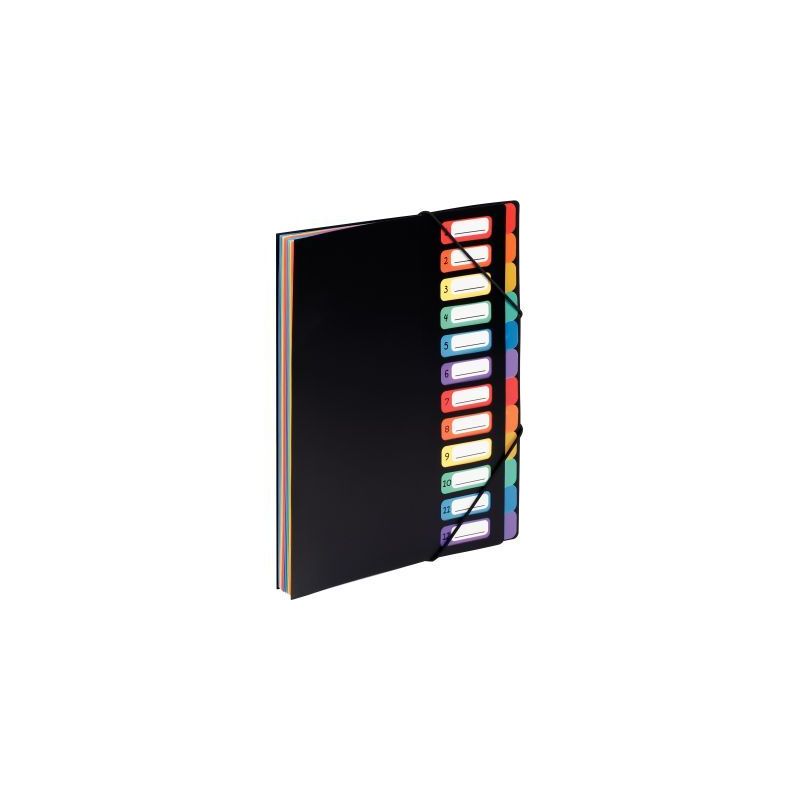 Achetez VIQUEL Trieur vertical RAINBOW 12 compartiments à  soufflet en polypro 5/10, Noir intérie..