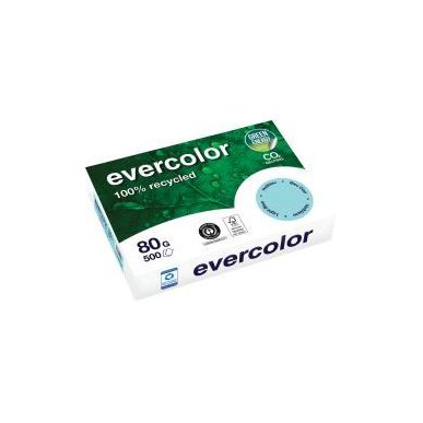 Achetez Carton de 5 ramettes de 500 feuilles format A4 80g bleu recyclé 40006CX5 EVERCOLOR CLAIREFO..