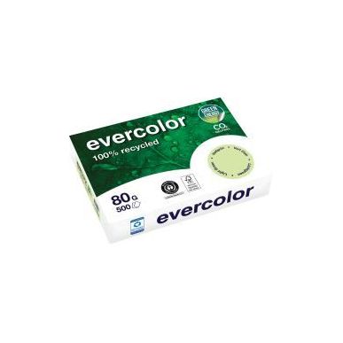 Achetez Carton de 5 ramettes de 500 feuilles format A4 80g vert recyclé 40004CX5 EVERCOLOR CLAIREFO..