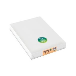 Achetez Carton de 5 ramettes de 500 feuilles format A3 80g saumon recyclé 30015CX5 EVERCOLOR CLAIRE..