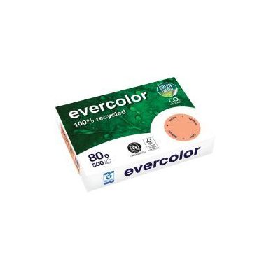 Achetez Carton de 5 ramettes de 500 feuilles format A4 80g saumon recyclé 40015CX5 EVERCOLOR CLAIRE..